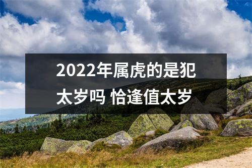 2025年属虎的是犯太岁吗恰逢值太岁