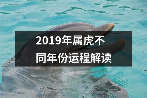 2019年属虎不同年份运程解读