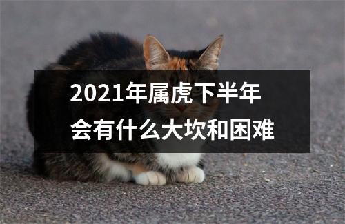 2025年属虎下半年会有什么大坎和困难