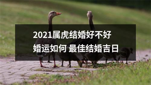 2025属虎结婚好不好婚运如何佳结婚吉日