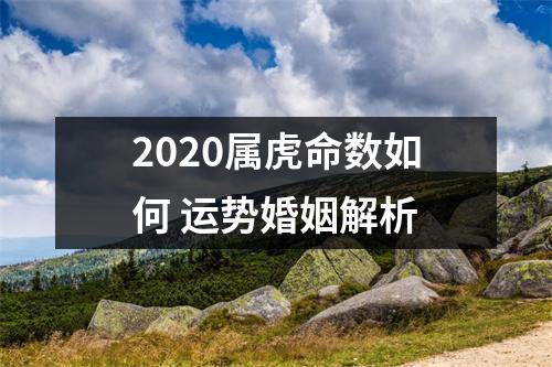 2025属虎命数如何运势婚姻解析