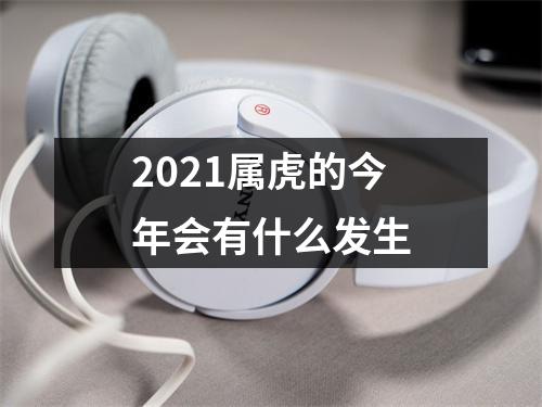 2025属虎的今年会有什么发生