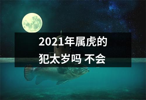 2025年属虎的犯太岁吗不会