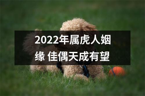 <h3>2025年属虎人姻缘佳偶天成有望