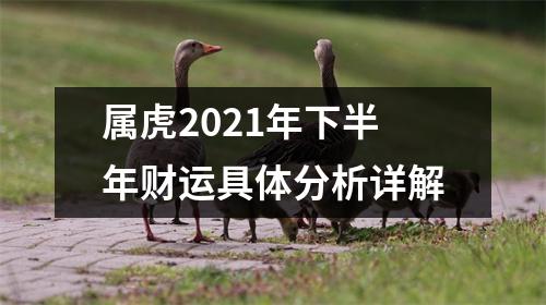 <h3>属虎2025年下半年财运具体分析详解