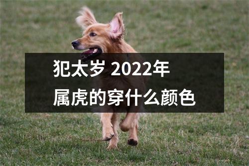 犯太岁2025年属虎的穿什么颜色