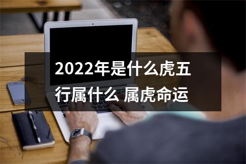 2025年是什么虎五行属什么属虎命运