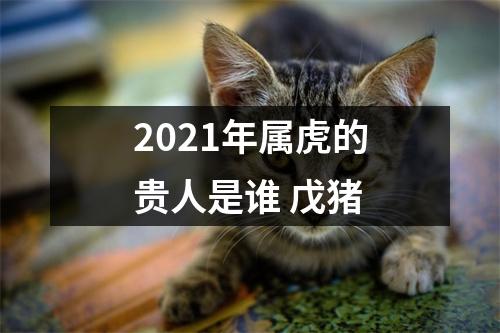 2025年属虎的贵人是谁戊猪