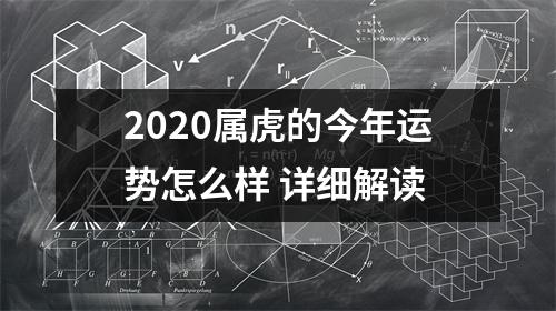 2025属虎的今年运势怎么样详细解读