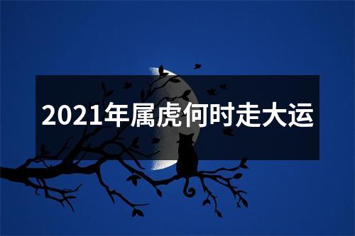 2025年属虎何时走大运