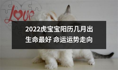 2025虎宝宝阳历几月出生命好命运运势走向