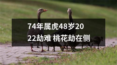 <h3>74年属虎48岁2025劫难桃花劫在侧