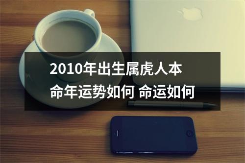 2010年出生属虎人本命年运势如何命运如何