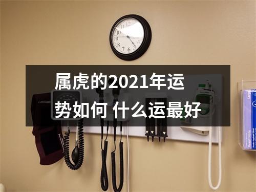 属虎的2025年运势如何什么运好