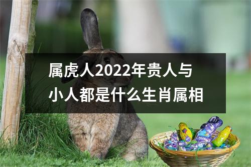 属虎人2025年贵人与小人都是什么生肖属相