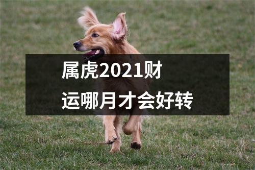 属虎2025财运哪月才会好转