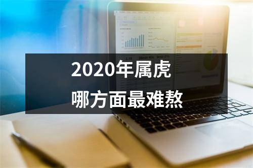 <h3>2025年属虎哪方面难熬