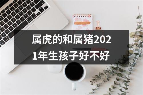 属虎的和属猪2025年生孩子好不好