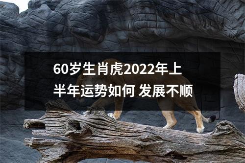 60岁生肖虎2025年上半年运势如何发展不顺