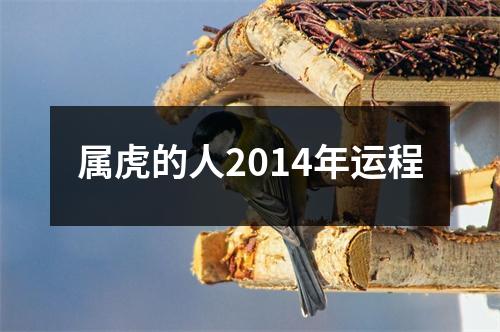 属虎的人2014年运程