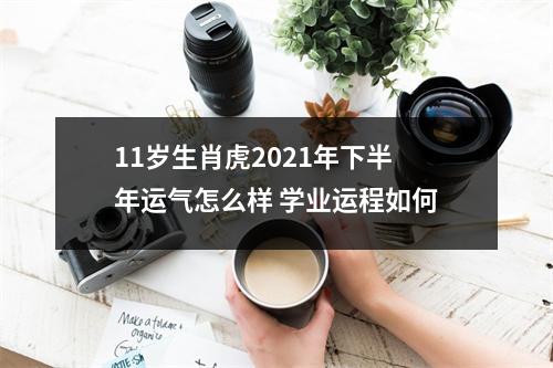 11岁生肖虎2025年下半年运气怎么样学业运程如何