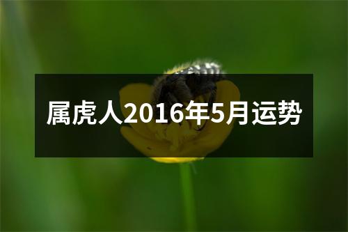 属虎人2016年5月运势