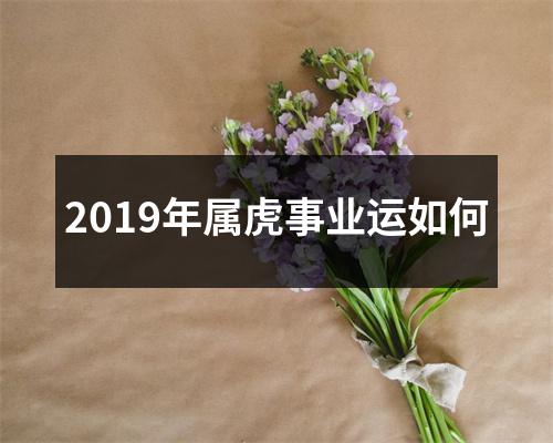 2019年属虎事业运如何