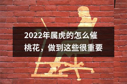 2025年属虎的怎么催桃花，做到这些很重要