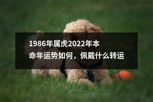 1986年属虎2025年本命年运势如何，佩戴什么转运