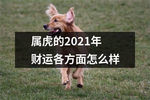 属虎的2025年财运各方面怎么样