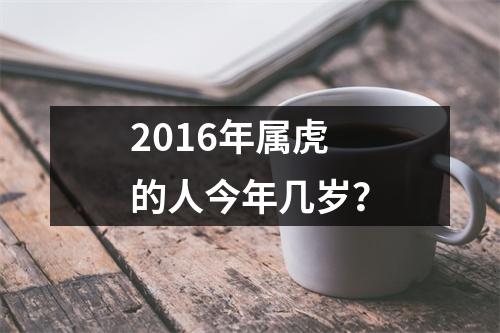 2016年属虎的人今年几岁？