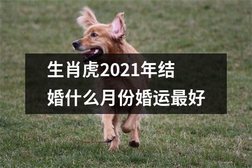 生肖虎2025年结婚什么月份婚运好