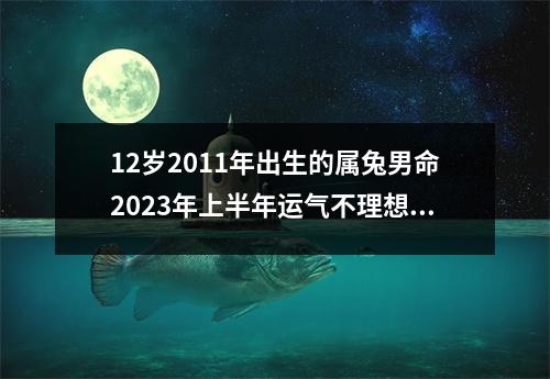 <h3>12岁2011年出生的属兔男命2025年上半年运气不理想何时转运