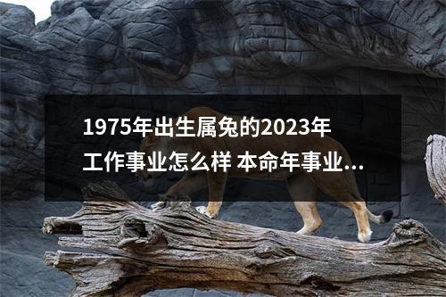 1975年出生属兔的2025年工作事业怎么样本命年事业运