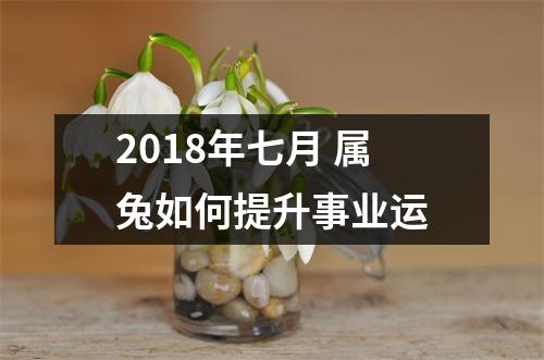 <h3>2018年七月属兔如何提升事业运