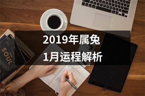 <h3>2019年属兔1月运程解析