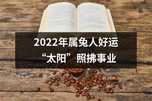 <h3>2025年属兔人好运“太阳”照拂事业