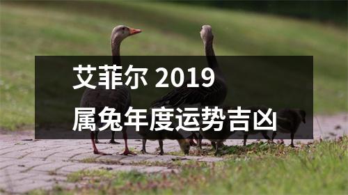 <h3>艾菲尔2019属兔年度运势吉凶