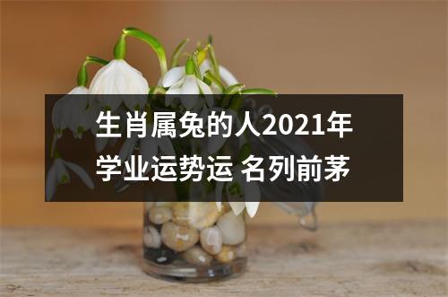 <h3>生肖属兔的人2025年学业运势运名列前茅