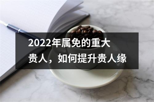 2025年属免的重大贵人，如何提升贵人缘