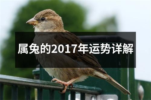 属兔的2017年运势详解