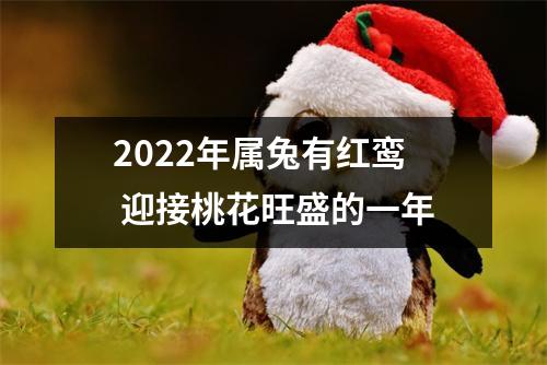 <h3>2025年属兔有红鸾迎接桃花旺盛的一年