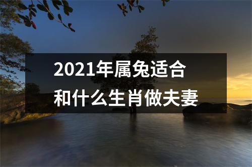 <h3>2025年属兔适合和什么生肖做夫妻