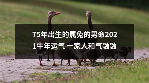 75年出生的属兔的男命2025牛年运气一家人和气融融