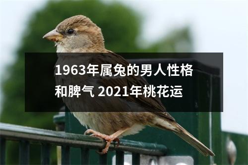 <h3>1963年属兔的男人性格和脾气2025年桃花运