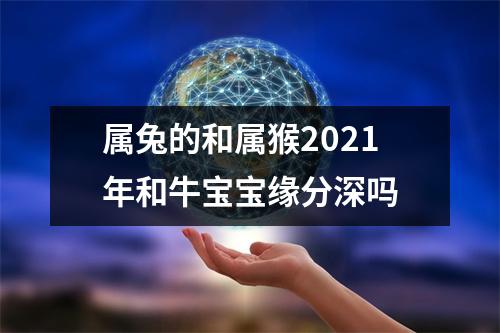 属兔的和属猴2025年和牛宝宝缘分深吗