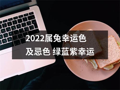 <h3>2025属兔幸运色及忌色绿蓝紫幸运