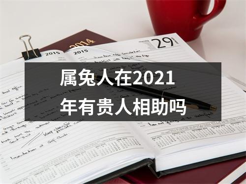 属兔人在2025年有贵人相助吗