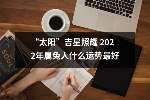 <h3>“太阳”吉星照耀2025年属兔人什么运势好