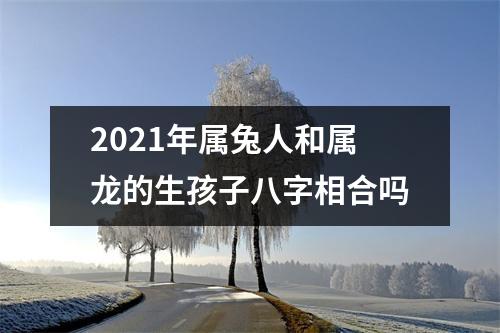 <h3>2025年属兔人和属龙的生孩子八字相合吗